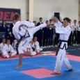 �������� ������ �������������� ����